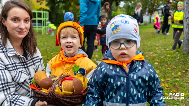 Fot. Robert Stachnik [Radio Szczecin] Przedszkolaki ruszyły szukać grzybów i uczyć się je rozróżniać [WIDEO, ZDJĘCIA]