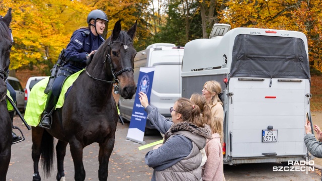 Fot. Robert Stachnik [Radio Szczecin] Policjanci na koniach patrolują Cmentarz Centralny [WIDEO, ZDJĘCIA]