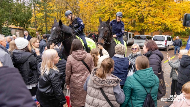 Fot. Robert Stachnik [Radio Szczecin] Policjanci na koniach patrolują Cmentarz Centralny [WIDEO, ZDJĘCIA]