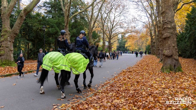 Fot. Robert Stachnik [Radio Szczecin] Policjanci na koniach patrolują Cmentarz Centralny [WIDEO, ZDJĘCIA]