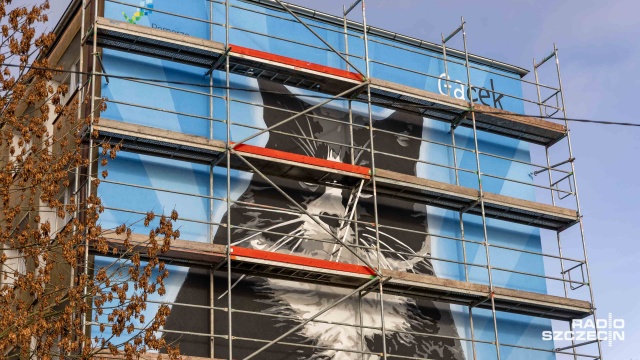 Fot. Robert Stachnik [Radio Szczecin] Pisały o nim światowe media. Został uwieczniony na szczecińskim budynku [WIDEO, ZDJĘCIA]