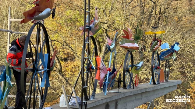 Fot. Robert Stachnik [Radio Szczecin] Ogniste Ptaki Hasiora w pełnej okazałości będzie można podziwiać za kilka dni [ZDJĘCIA]