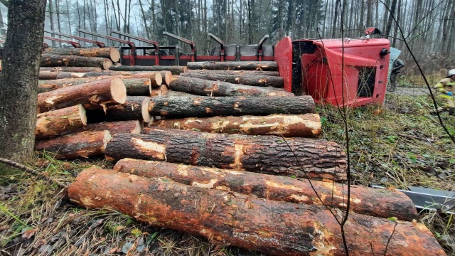 Fot. Facebook / Ochotnicza Straż Pożarna Marianowo Na leśnej drodze przewróciła się ciężarówka
