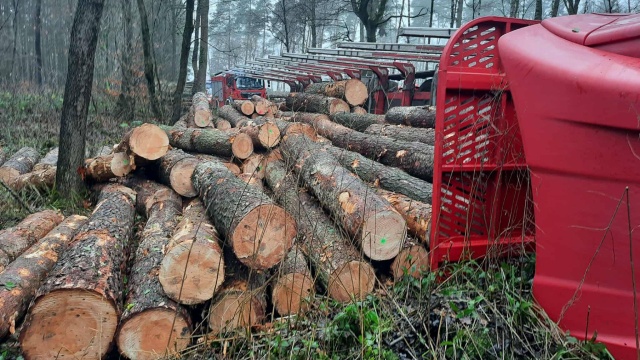 Fot. Facebook / Ochotnicza Straż Pożarna Marianowo Na leśnej drodze przewróciła się ciężarówka