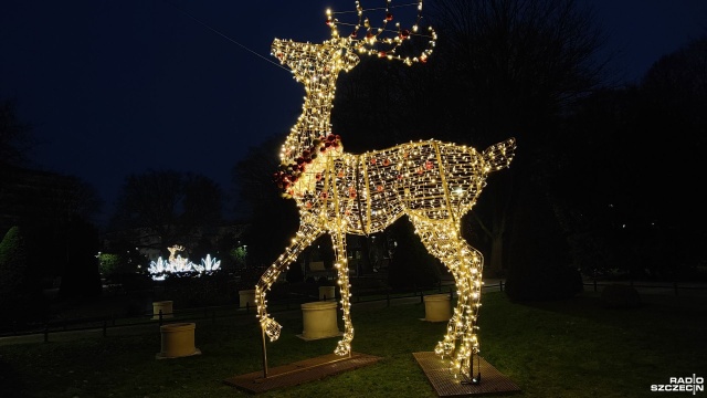 Fot. Przemysław Polanin [Radio Szczecin] W tym roku w Kołobrzegu królują renifery [ZDJĘCIA]