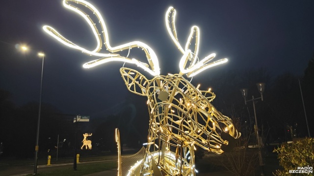 Fot. Przemysław Polanin [Radio Szczecin] W tym roku w Kołobrzegu królują renifery [ZDJĘCIA]