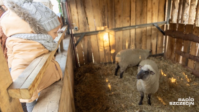 Fot. Robert Stachnik [Radio Szczecin] W Żydowcach można oglądać żywą szopkę bożonarodzeniową [WIDEO, ZDJĘCIA]
