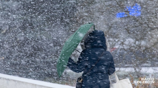 Instytut Meteorologii i Gospodarki Wodnej zapowiada opady śniegu w całym kraju. Miejscami będą one intensywne. Na północy - do piątku - może spaść do 15 centymetrów śniegu.