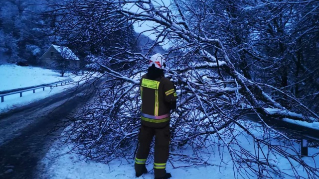 Drzewo blokuje drogę wojewódzką nr 163 na wysokości jezior między Połczynem Zdrojem a Czaplinkiem.