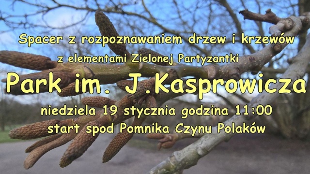 Szczeciński przyrodnik Paweł Madejski zaprasza na pierwszy w tym roku spacer z rozpoznawaniem drzew i krzewów.