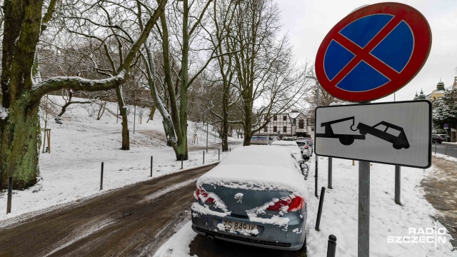 Parkowanie samochodów w szczecińskich parkach wymaga uregulowania - uważa przewodniczący Komisji Rewizyjnej Rady Miasta Marek Duklanowski.