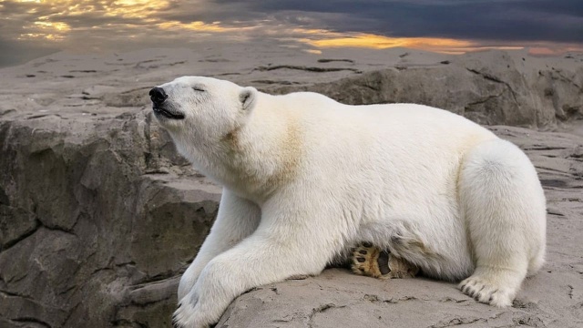 Naukowcy z unijnego programu badawczego Copernicus poinformowali, że tegoroczny styczeń był najcieplejszym w historii pomiarów przekraczając o 1,75 stopnia Celsjusza średnie temperatury sprzed epoki przemysłowej. Badacze są zaskoczeni, ponieważ oczekiwali ochłodzenia względem roku 2024.