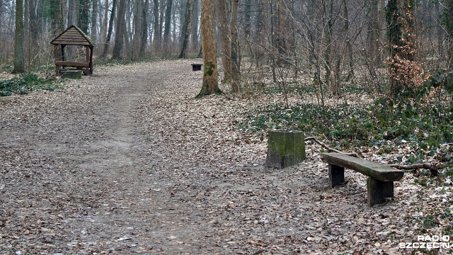 Utworzenia Parku Miejskiego im. Marysieńki domagają się mieszkańcy szczecińskiego prawobrzeża.