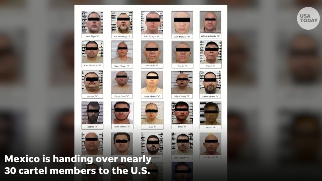 Meksyk deportował 29 osób z karteli narkotykowych do Stanów Zjednoczonych. Bezprecedensowy pokaz współpracy w zakresie bezpieczeństwa nastąpił, gdy administracja Donalda Trumpa zagroziła nałożeniem 25-procentowych ceł na wszystkie meksykańskie towary importowane od najbliższego wtorku.