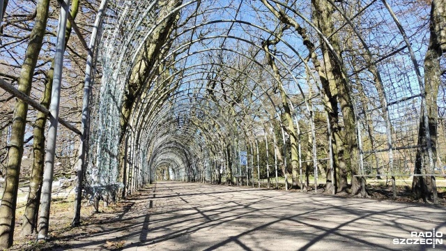 Pomnik przyrody, a jednocześnie jedno z najbardziej romantycznych miejsc w Kołobrzegu musi przejść kompleksową rewitalizację. Miasto przedstawiło plan długoterminowych prac.