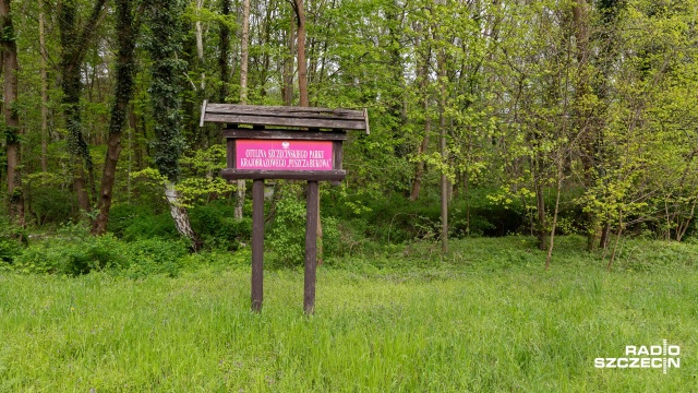 W ręce lidera Klubu Kniejołaza trafiło wyróżnienie Klubu Przyrodników Orle Pióro. To za wieloletnią działalność na rzecz ochrony Puszczy Bukowej.