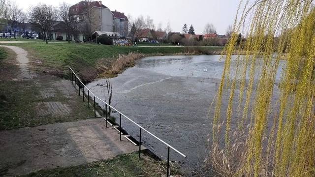 Jeziorko Słoneczne będzie czystsze