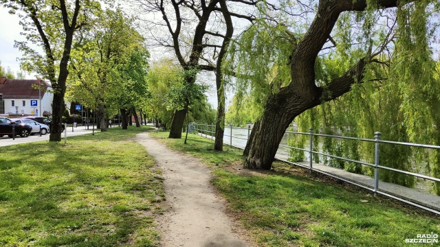 Miasto ogłosiło przetarg na pierwszy etap przebudowy terenów przyległych do rzeki Parsęty.