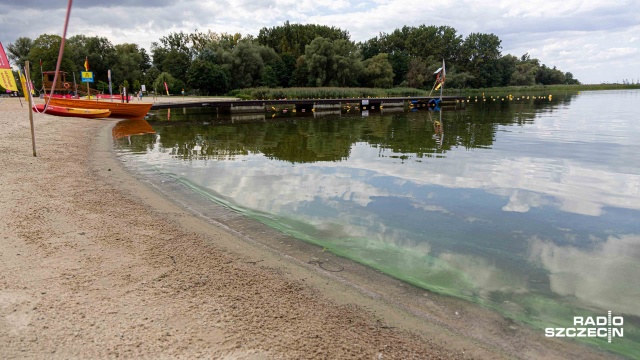 Psy na szczecińskich kąpieliskach - jeszcze nie w tym sezonie. W kwietniu informowaliśmy o wyroku Wojewódzkiego Sądu Administracyjnego, który poparł argumenty Rzecznika Praw Obywatelskich, że psy mogą być wprowadzane na miejskie kąpieliska. Z taką decyzją nie zgadzają się jednak władze Szczecina.