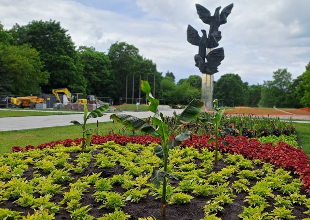 Chodzi o nasadzenia w pobliżu Pomnika Czynu Polaków. Nowe kwietniki po kilku dniach zostały okradzione.