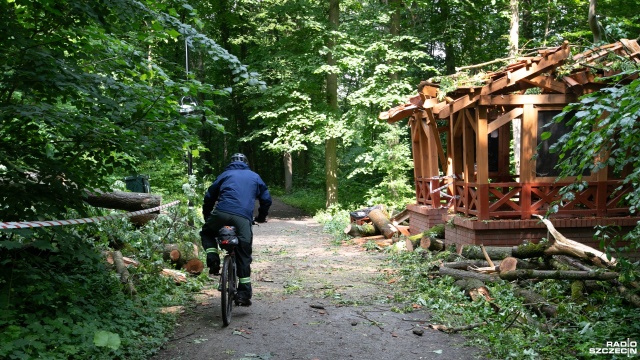 Rozdzielnia elektryczna, lampa i pawilon edukacyjny zostały poważnie uszkodzone nad Syrenimi Stawami w Szczecinie. To przez powalone drzewo.
