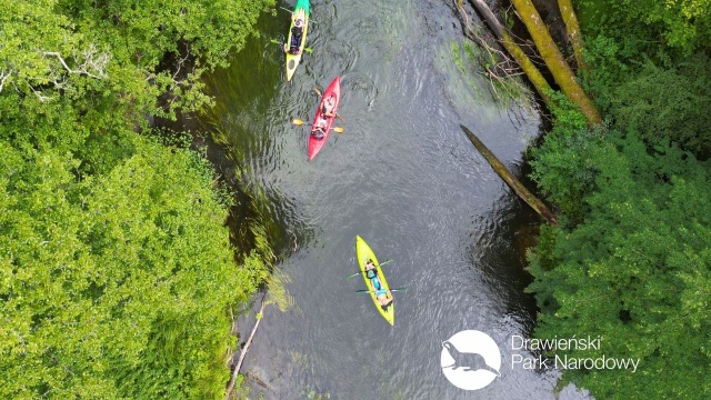 Wcześniej niż w latach ubiegłych, rozpoczął się sezon kajakowy i wędkarski w Drawieńskim Parku Narodowym.