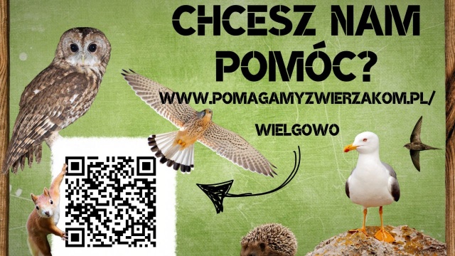 Ośrodek dla dzikich zwierząt w Wielgowie prosi o pomoc. Każdego dnia do Zwierzogrodu trafiają dziesiątki ptaków i małych ssaków.