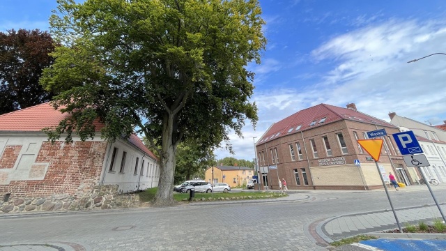 Do Kamienia Pomorskiego wróciła wczesnośredniowieczna łódź, a konkretnie jej fragment. Został odkryty ponad 40 lat temu podczas prac melioracyjnych w okolicach zatoki Karpiny.