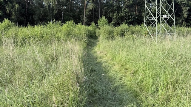Dla znudzonych ścieżkami rowerowymi w miastach - kolarze polecają leśną trasę do Polic. Stowarzyszenie Leśne Ścieżki we współpracy z Lasami Państwowymi wyznaczyło trasy, które są na bieżąco monitorowane i sprzątane.