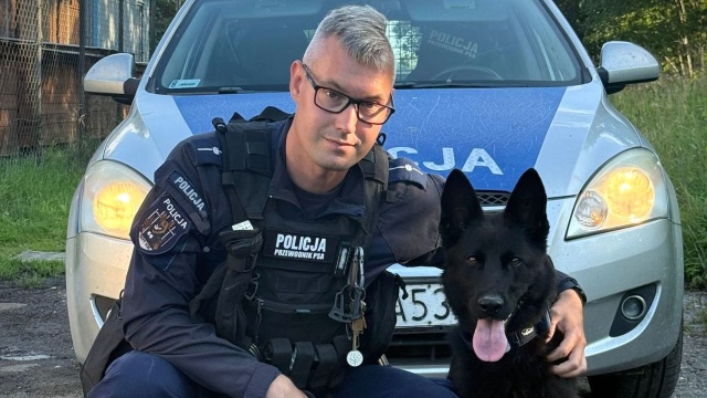 Wsparcie dla kołobrzeskiej komendy policji. Do służby przystąpił już nowy policjant, którego od większości kolegów odróżnia to, że porusza się na czterech łapach.