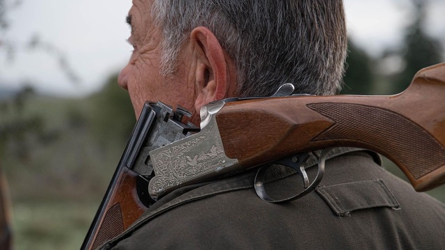 Od początku roku do czerwca odstrzelono 46 dzików na terenie Warszawy - przekazały Lasy Miejskie.