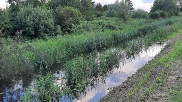 Trwa udrożnianie koryta rzeki Chełszcząca, wpływającej do szczecińskiego jeziora Dąbie.