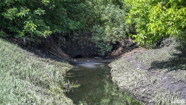 Zalewanie ogródków działkowych po ulewnych deszczach na Górkach Ustowskich w Szczecinie jest spowodowane niewydolnym przepustem rzeki Bukowej - mówili podczas konferencji prasowej radni miejscy Prawa i Sprawiedliwości.