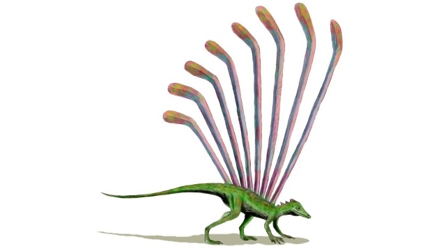 Prawie sto lat czekały na badania szczątki jaszczurki sprzed 250 milionów lat. Gdy naukowcy w końcu przebadali znalezisko, znaleźli nowy element w historii ewolucji. Rzuca on świeże spojrzenie na włosy i pióra.