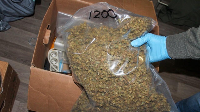 Centralne Biuro Śledcze Policji przejęło narkotyki warte przeszło miliard złotych.