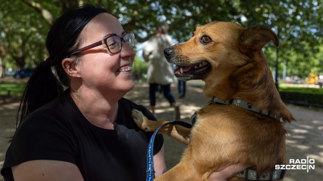 Najlepsi przyjaciele człowieka obchodzą swoje święto. Dziś międzynarodowy dzień psa.