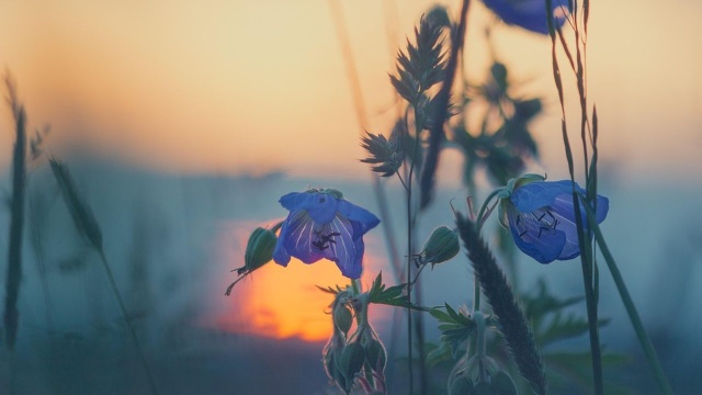 Doraźnym działaniem w walce z suszą powinno być rozwijanie systemu małej retencji - powiedział prof. Marcin Świtoniak z UMK w Toruniu. Podkreślił, że kluczowe jest zatrzymywanie wody w mikrozlewniach - na polach, bagnach i podmokłościach, a w miastach m.in. na trawnikach i łąkach kwietnych.