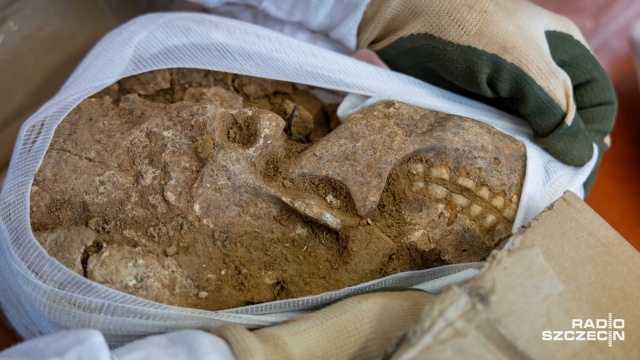 Szczątki młodych kobiet i dzieci sprzed 4000 lat odnaleźli naukowcy m.in. ze Szczecina.