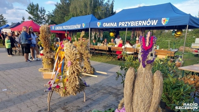 Zawody, konkursy i przede wszystkim ogrom lokalnych przysmaków - tak przybiernowianie obchodzili gminne dożynki.