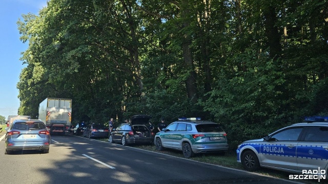 Jedenaście osób zatrzymanych między Kijewem a Płonią. Policjanci i funkcjonariusze Straży Granicznej zatrzymali dwa samochody osobowe, które jechały w stronę granicy.