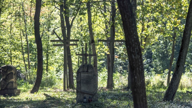 W Puźnikach na Ukrainie pochowane w sobotę będą szczątki ponad 40 Polaków zamordowanych przez ukraińskich nacjonalistów. Ekshumowano je wiosną, w ramach prac archeologicznych. To pierwsze od lat tego typu upamiętnienie polskich ofiar na Ukrainie. W uroczystościach wezmą udział rodziny ofiar i przedstawiciele władz Polski i Ukrainy.