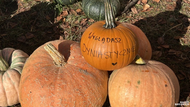 Niedziela jest ostatnim dniem tegorocznej edycji Targów Agro Pomerania. W Barzkowicach impreza połączona będzie się z diecezjalnymi dożynkami.