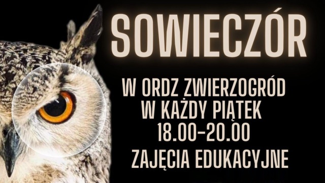 Wracają sowieczory, czyli spotkania edukacyjne w ośrodku dla dzikich zwierząt w Wielgowie.