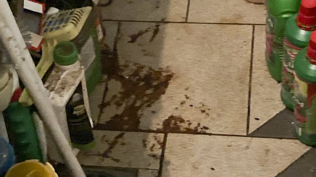 Jej dom od 10 lat zalewają nieczystości. Po raz pierwszy zdarzyło się to w 2015 roku, po raz ostatni - tydzień temu. To problem pani Wiesławy, która mieszka przy ulicy Daniela w Dołujach. Każde kolejne zalanie to nie tylko niemożliwy do wytrzymania zapach, ale też bakterie, które niszczą posiadłość i zdrowie lokatorów.