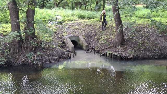Mętna zanieczyszczona woda w rzece Płoni. Kryzysowy Punkt Kontrolny RZGW Szczecin otrzymał informację o zanieczyszczeniach w wodzie na wysokości ulicy Pomorskiej w Szczecinie i za mostem przy ulicy Racławickiej.