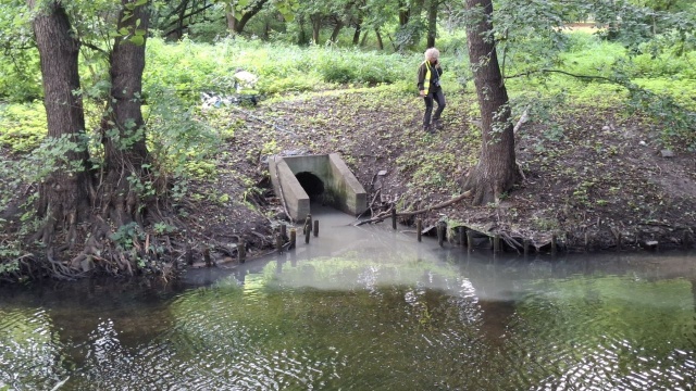 Rzeka Płonia jest pod stałą kontrolą pracowników Wód Polskich - zapewnia rzecznik instytucji. W tym tygodniu doszło do zanieczyszczenia rzeki szaro-brunatną cieczą.