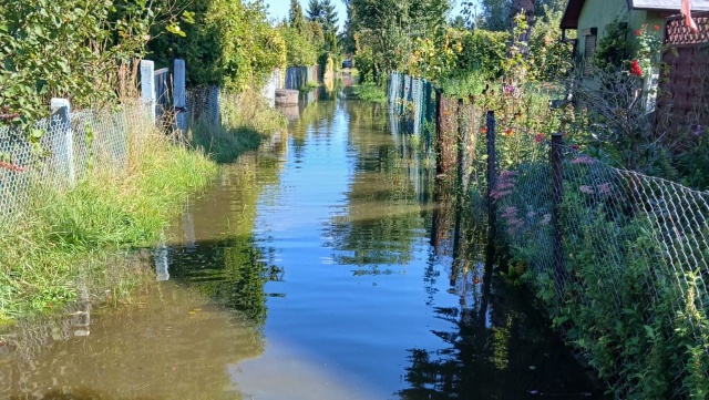 Rzeka Bukowa na szczecińskim Pogodnie sprawia działkowiczom - przy ulicy Janka Muzykanta - sporo problemów.