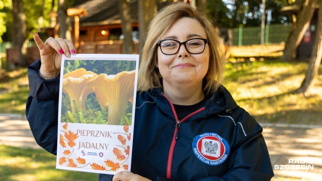 Niektórzy wolą je zebrać sami, inni wolą kupić w sklepie, a jeszcze inni - u ulicznych sprzedawców. Kulminacja sezonu na grzyby zbliża się do Zachodniopomorskiego.