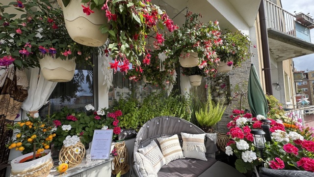 Dobra wiadomość dotycząca laureatów tegorocznego konkursu Cały Szczecin w kwiatach. Drugie miejsce w kategorii balkony zajęła nasza redakcyjna koleżanka, prezenterka Beata Użarowska - ustępując jedynie Tadeuszowi Słodkowiczowi.