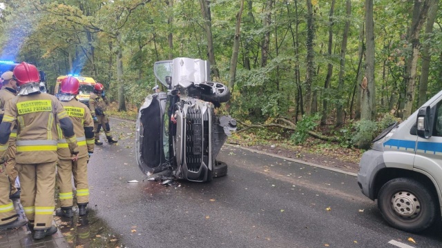 Kolizja na ulicy Kablowej w Szczecinie. Kierowca osobówki uderzył autem w drzewo i dachował.